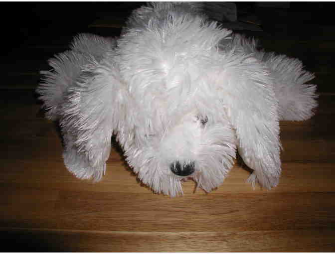 Molly - Victoria Secret 2004 Bichon