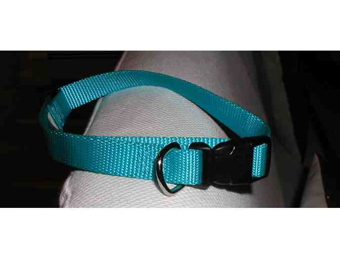 Teal Dog Collar