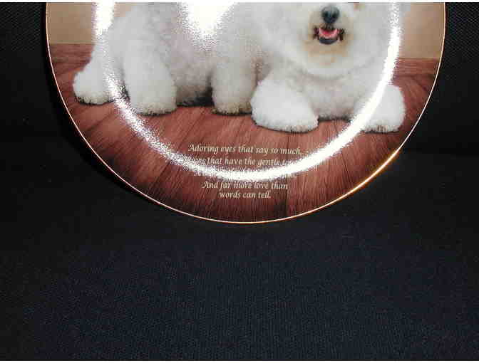 Danbury Mint - Cherished Bichons - Adoring Eyes