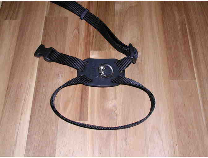 X style dog harness
