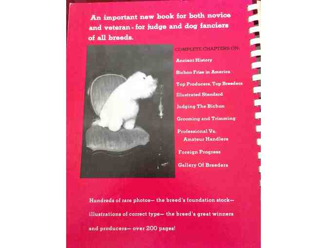 THE BICHON FRISE TODAY by Richard Beauchamp