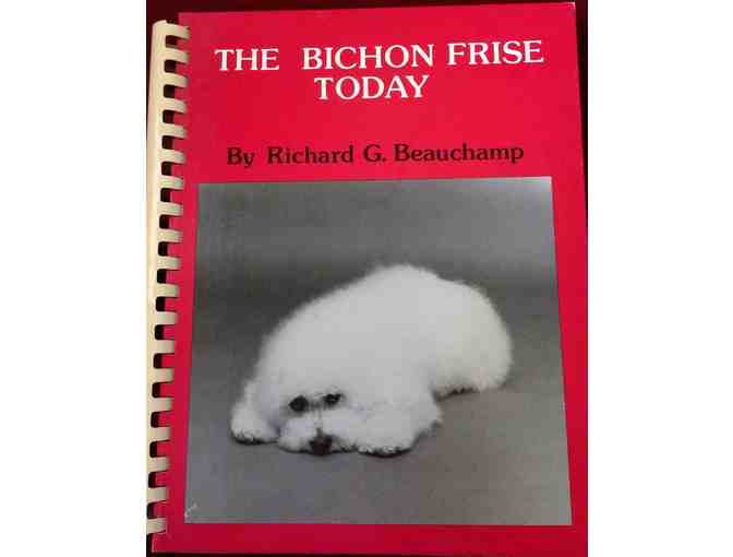 THE BICHON FRISE TODAY by Richard Beauchamp