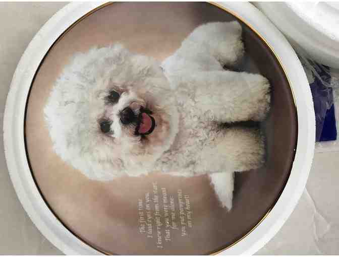 Danbury Mint - Cherished Bichons - Pawprints on my