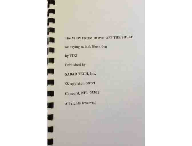 THE VIEW FROM DOWN OFF THE SHELF by Tiki