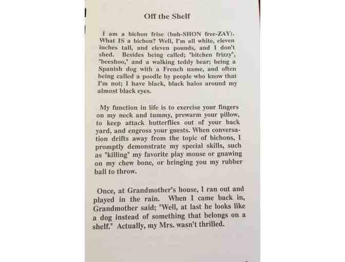 THE VIEW FROM DOWN OFF THE SHELF by Tiki