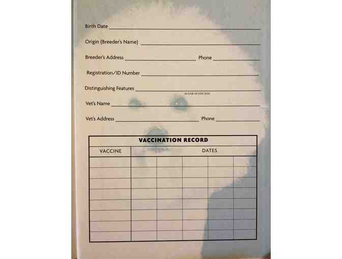 BICHON FRISE by Juliette Cunliffe