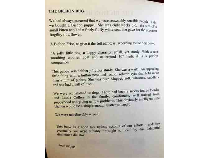 THE BICHON BUG by Joan Briggs