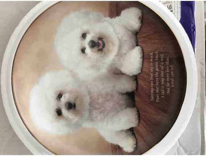 Danbury Mint - Cherished Bichons - Adoring Eyes