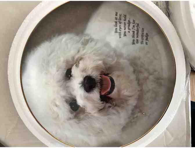 Danbury Mint - Cherished Bichons - Eyes of Love