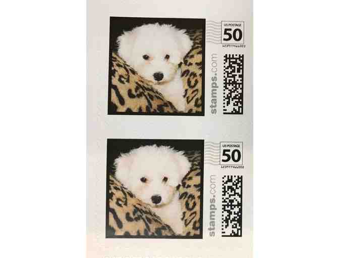Bichon Puppy USPS Sheet of 50 Cent Stamps