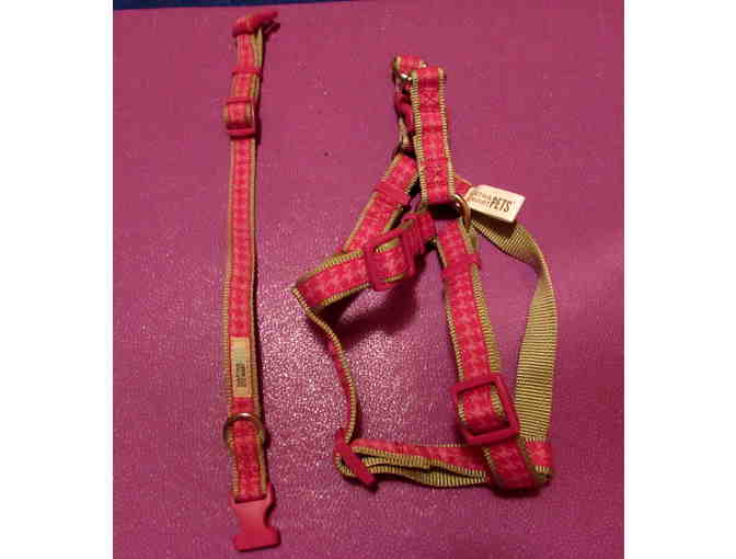 Martha Stewart PET harness & collar