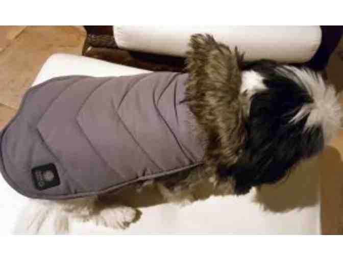Dog jacket with faux fur collar