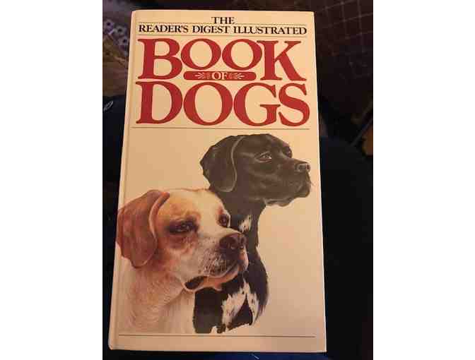 Book of Dogs by Readers Digest Illustrated