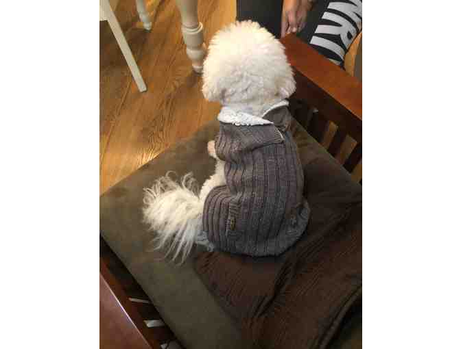 Snuggly warm outdoor doggy sweater
