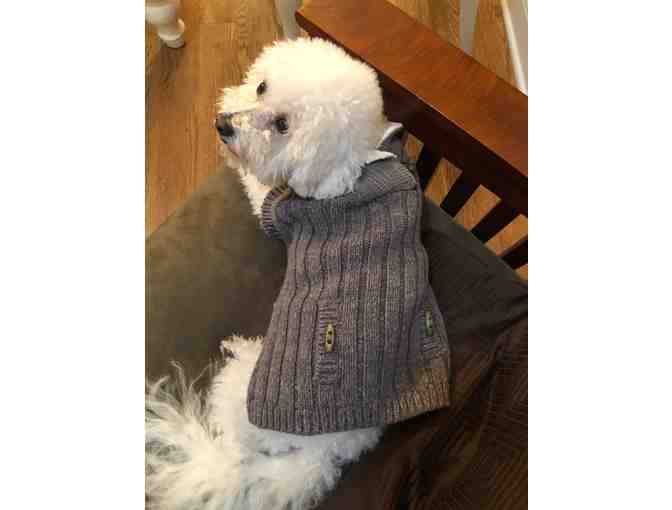 Snuggly warm outdoor doggy sweater