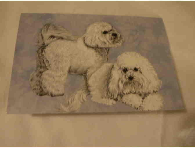 Bichon note cards