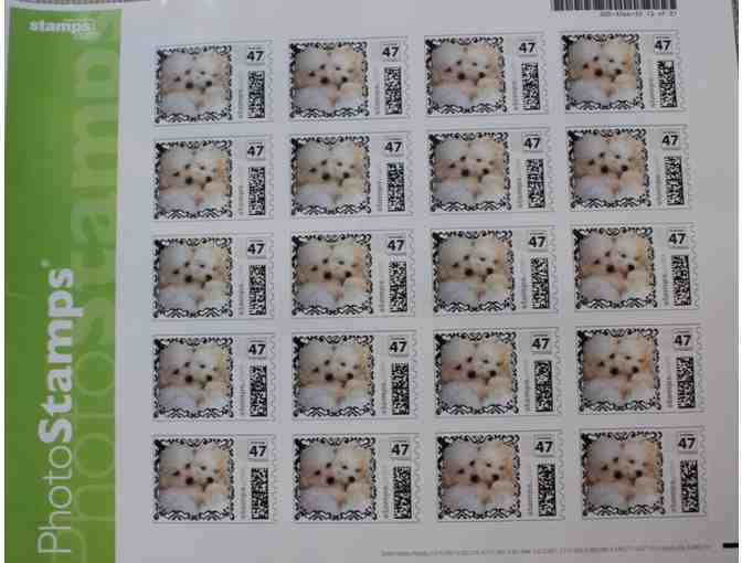 Marco and Sophie Bichon US Postage Stamp Sheet