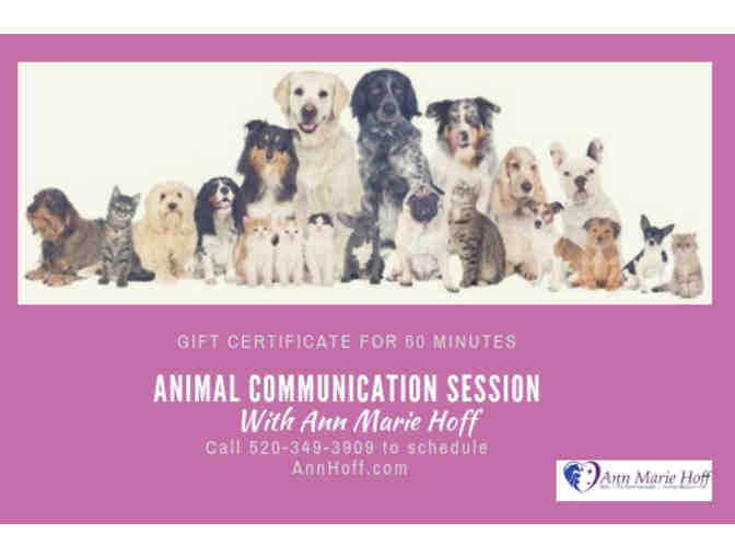 60 Minute Animal Communication Session with Ann Marie Hoff