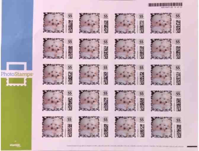 Marco and Sophie Bichon US Postage Stamp Sheet