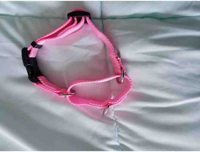 Pink martingale dog collar, 12-14'