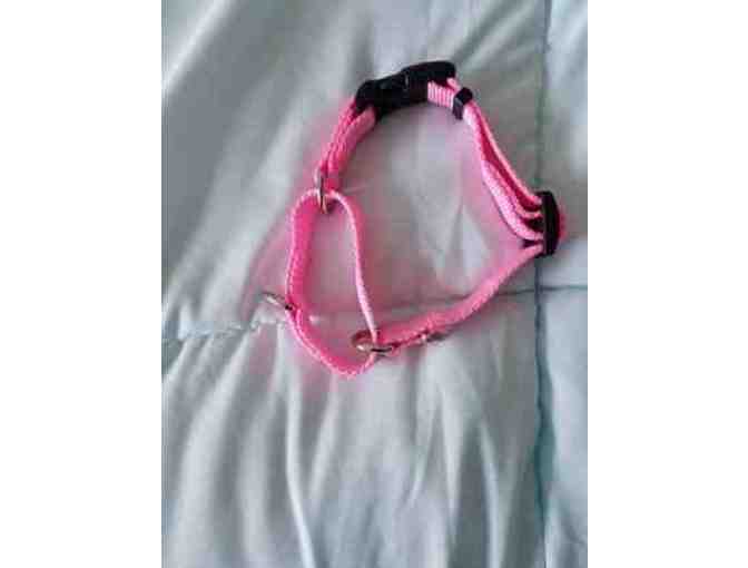 Pink martingale dog collar, 12-14'