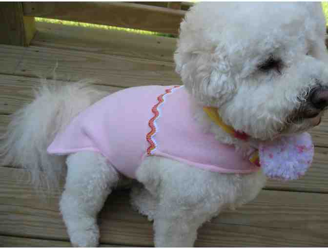 Dog Coat and Scarf - Pink