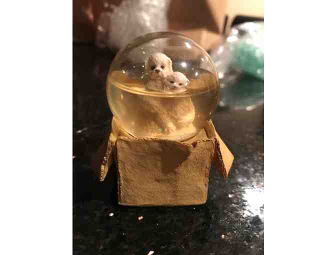 Bichon Snow Globe