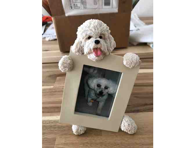 Bichon holding picture frame