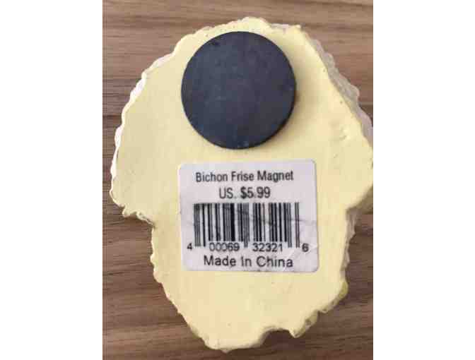 Bichon magnet