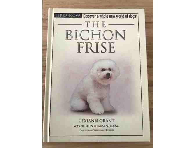 The Bichon Frise by Lexiann Grant