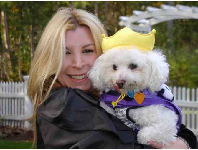 Stanley the Bichon iphone 5S case.