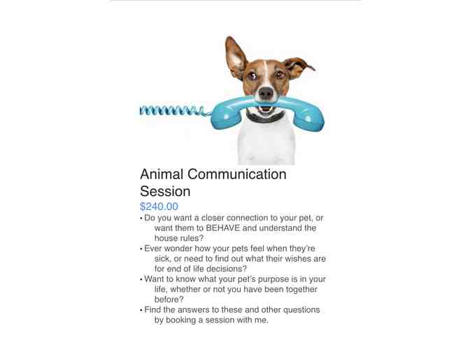 Animal communication session