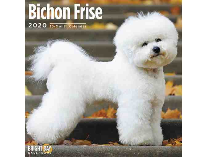 2020 Bichon Wall Calendar