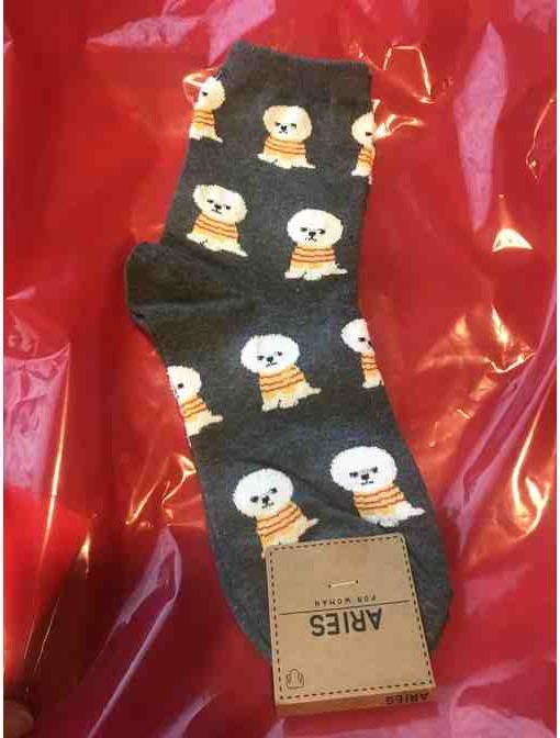 Bichon Frise Socks - Photo 2