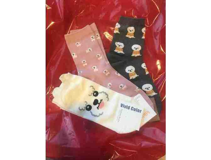 Bichon Frise Socks