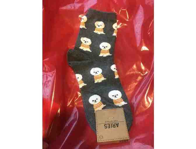 Bichon Frise Socks - Photo 3