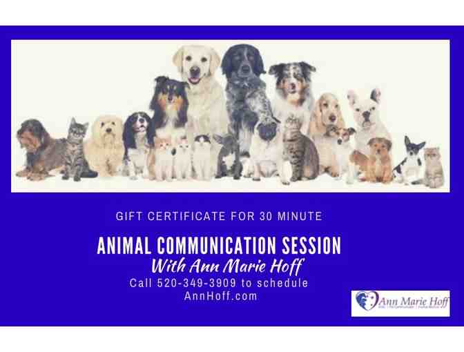 Animal communication Session - Photo 1