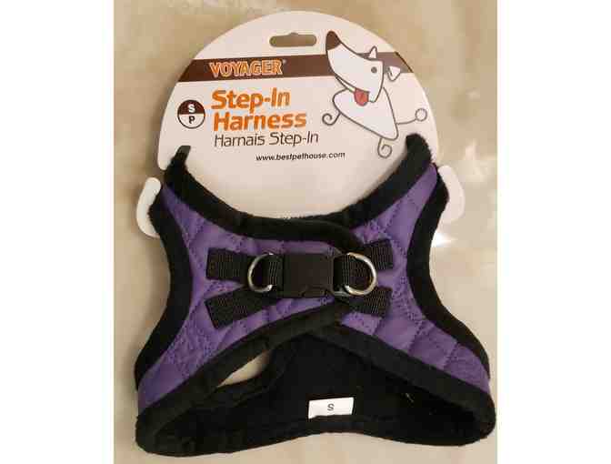 Step In Harness