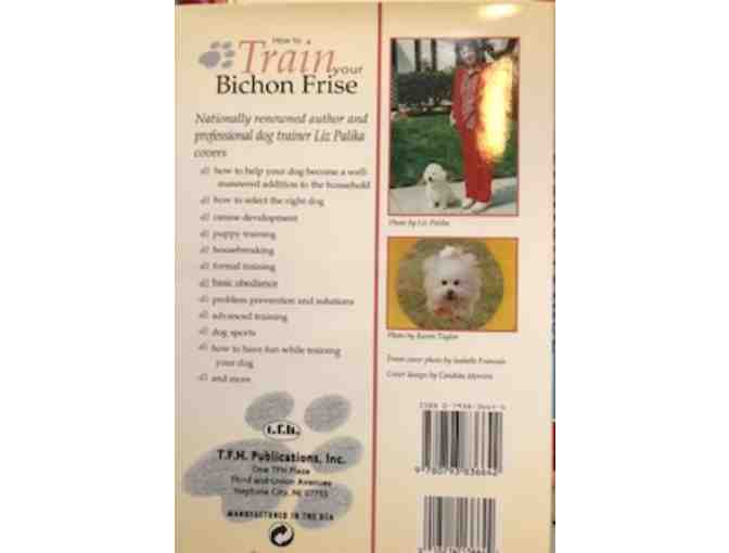 How to train your Bichon Frise