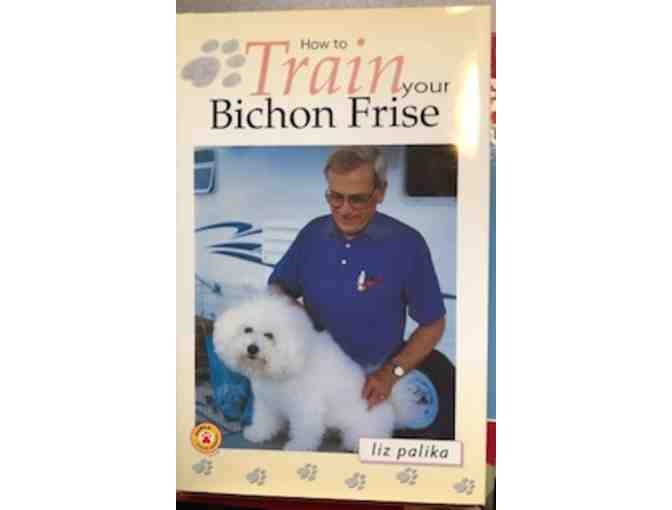 How to train your Bichon Frise