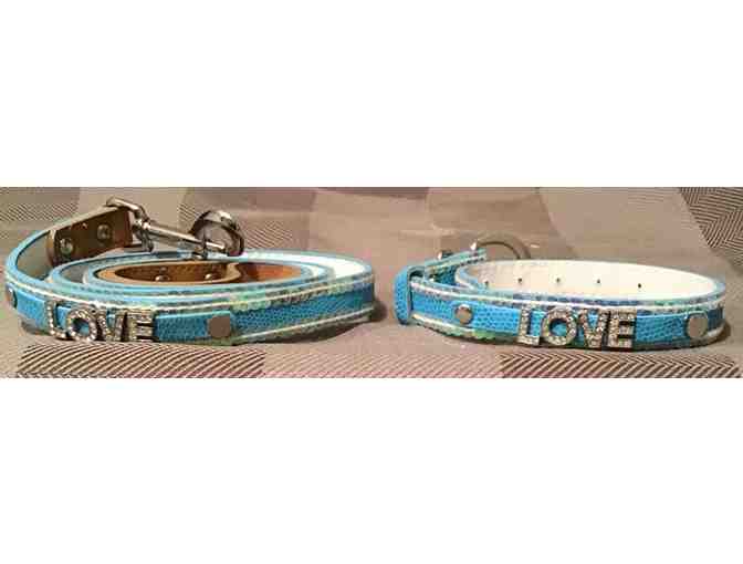 Turquoise leash and collar set