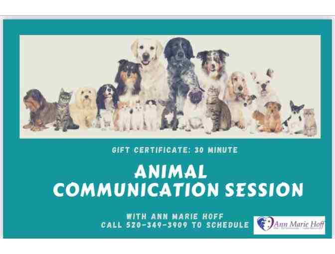 30 Minute Animal Communication Session with Ann Marie Hoff