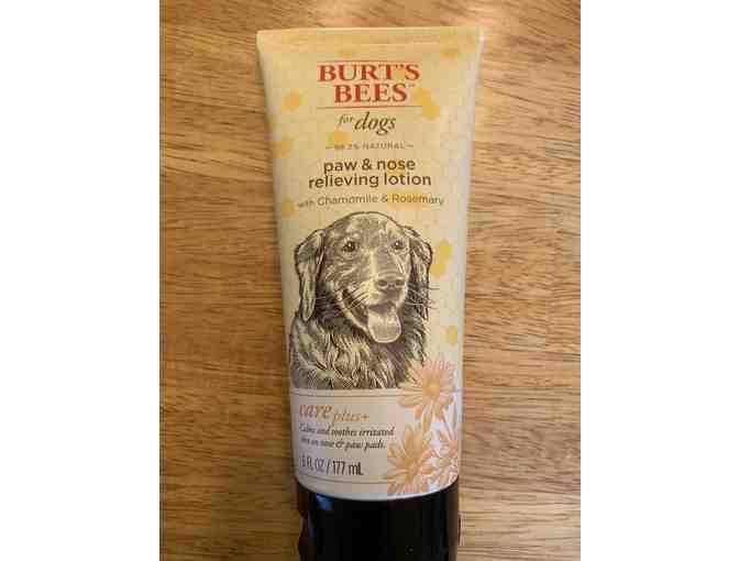 Burt's Bees Paw & Nose Relieving Lotion