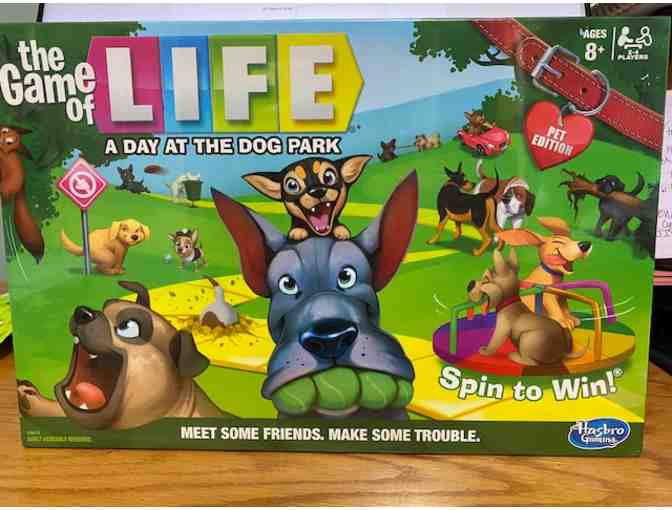 The Game of Life - A Day at the Dog Park