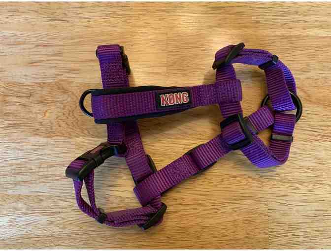 Kong Harness and Leash, purple, Size sm/med
