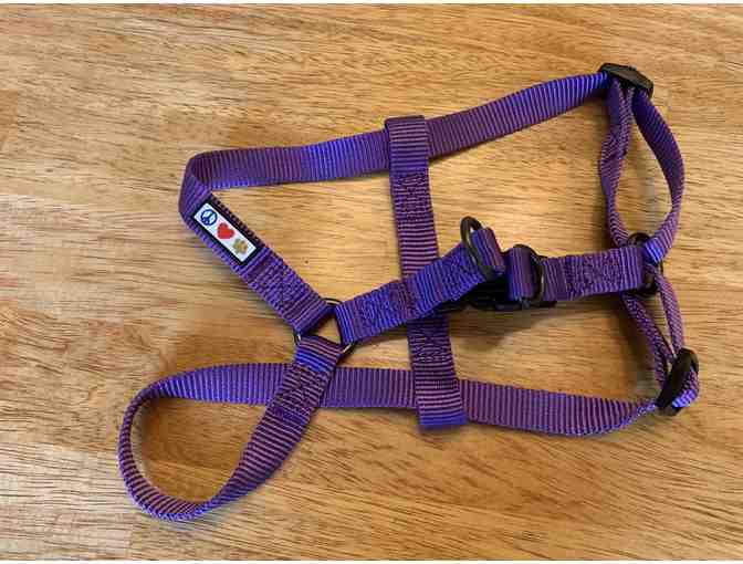 Harnesses, Set of 3, Size sm/med