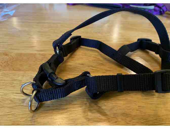 Harnesses, Set of 3, Size sm/med
