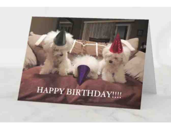 Bichon Birthday Hat Card