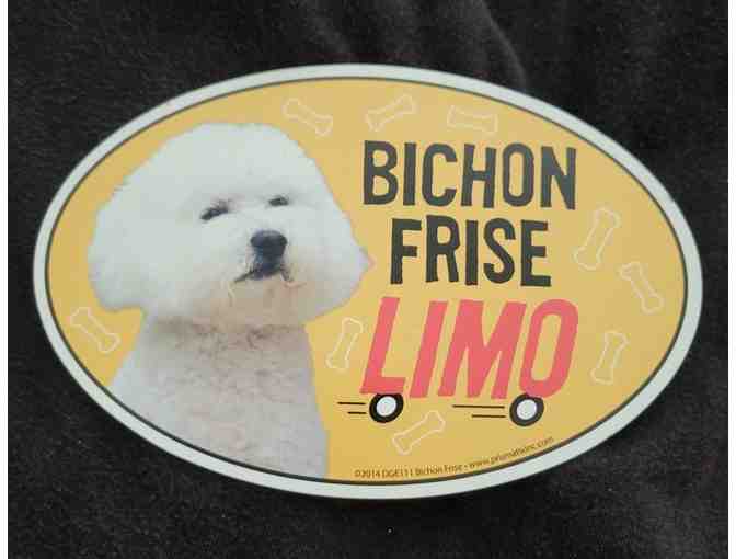 Bichon Limo Magnet