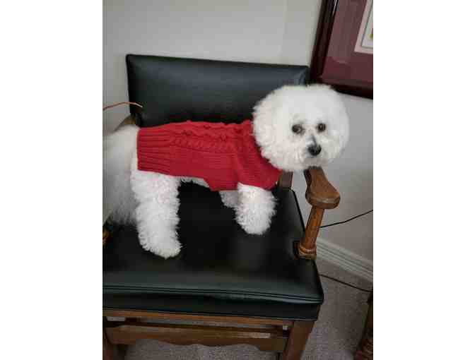 Red Cable Knit Dog Sweater